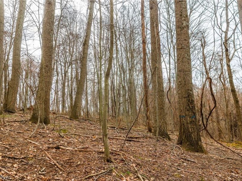 Pledge Road, Carrollton, OH 44615 Photo 27