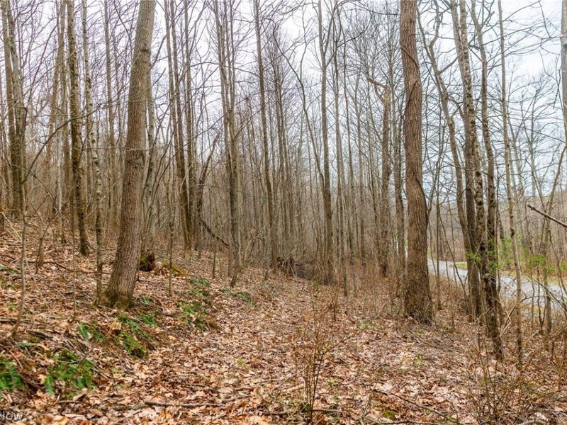 Pledge Road, Carrollton, OH 44615 Photo 30