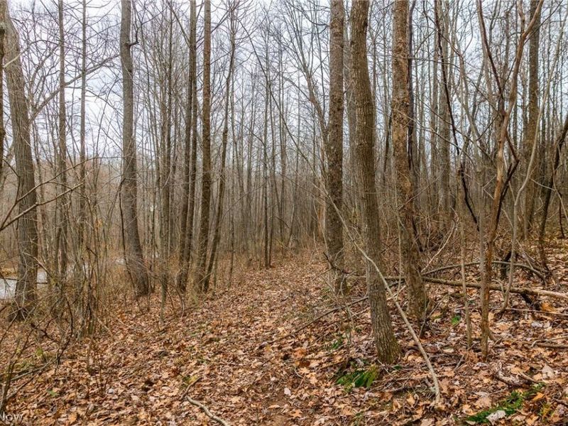 Pledge Road, Carrollton, OH 44615 Photo 31