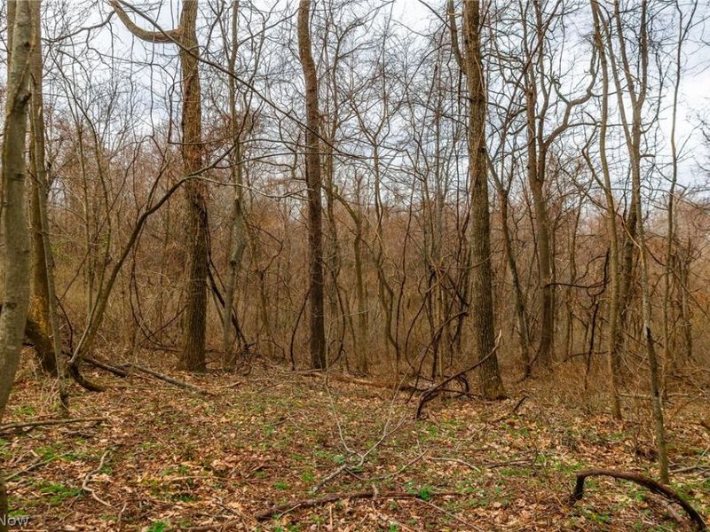 Pledge Road, Carrollton, OH 44615 Photo 34