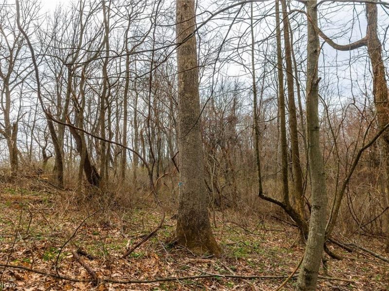 Pledge Road, Carrollton, OH 44615 Photo 35