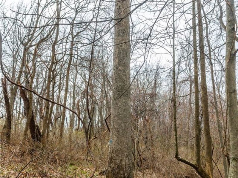 Pledge Road, Carrollton, OH 44615 Photo 36