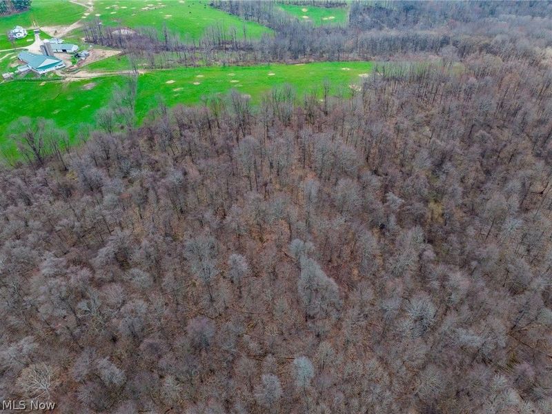 Pledge Road, Carrollton, OH 44615 Photo 37