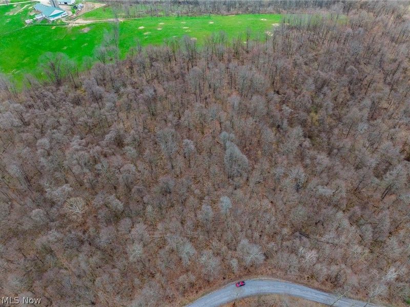 Pledge Road, Carrollton, OH 44615 Photo 39