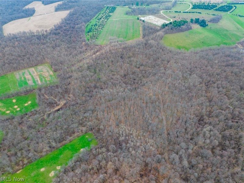 Pledge Road, Carrollton, OH 44615 Photo 41