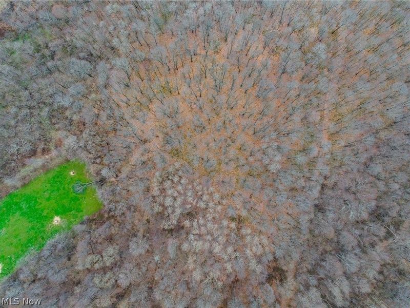 Pledge Road, Carrollton, OH 44615 Photo 42