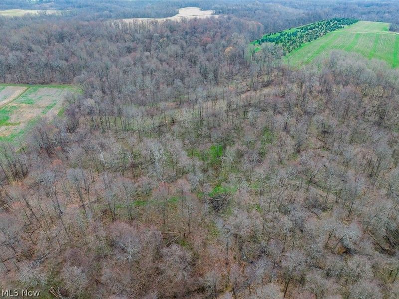 Pledge Road, Carrollton, OH 44615 Photo 43