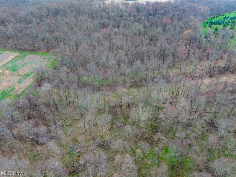 Pledge Road, Carrollton, OH 44615 Photo 44