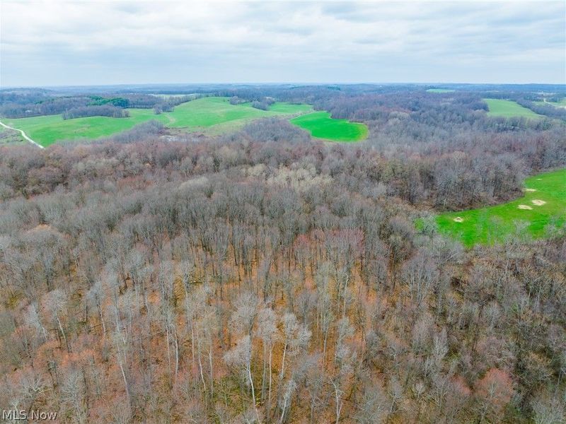 Pledge Road, Carrollton, OH 44615 Photo 45