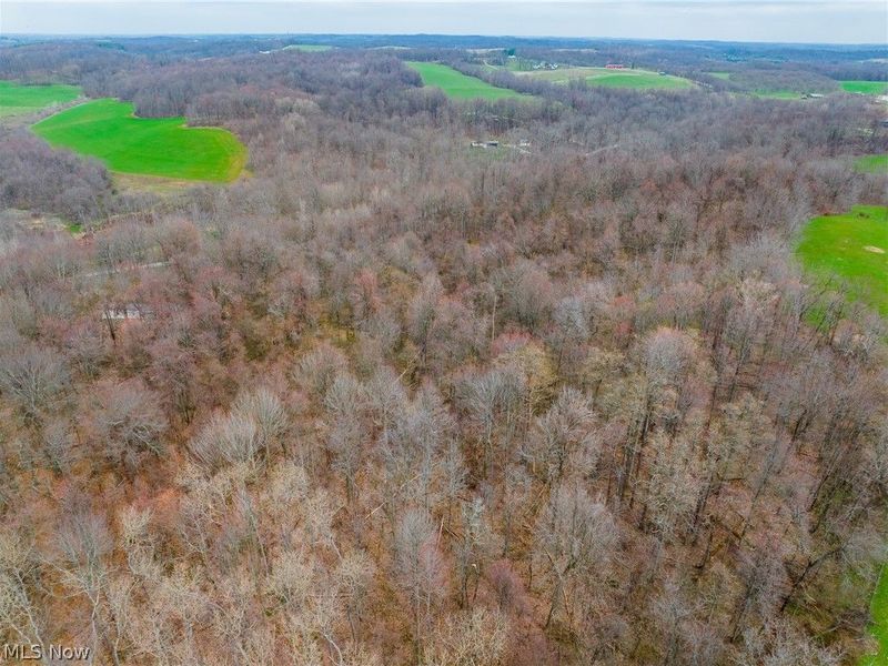 Pledge Road, Carrollton, OH 44615 Photo 46