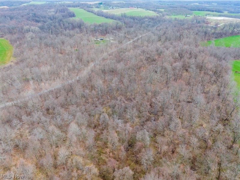 Pledge Road, Carrollton, OH 44615 Photo 47