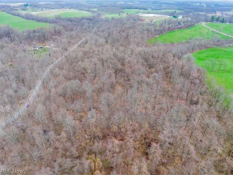 Pledge Road, Carrollton, OH 44615 Photo 48