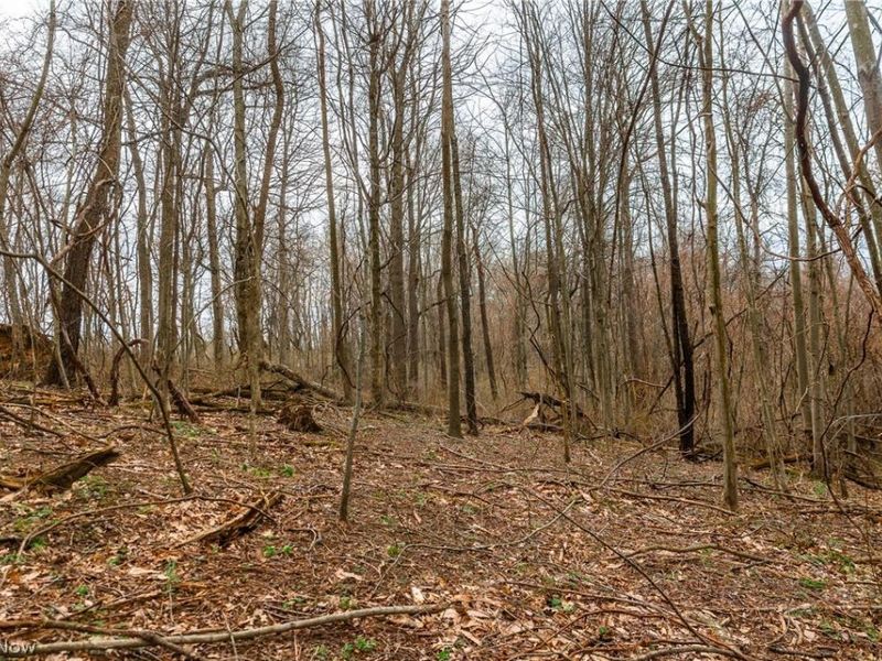 Pledge Road, Carrollton, OH 44615 Photo 6