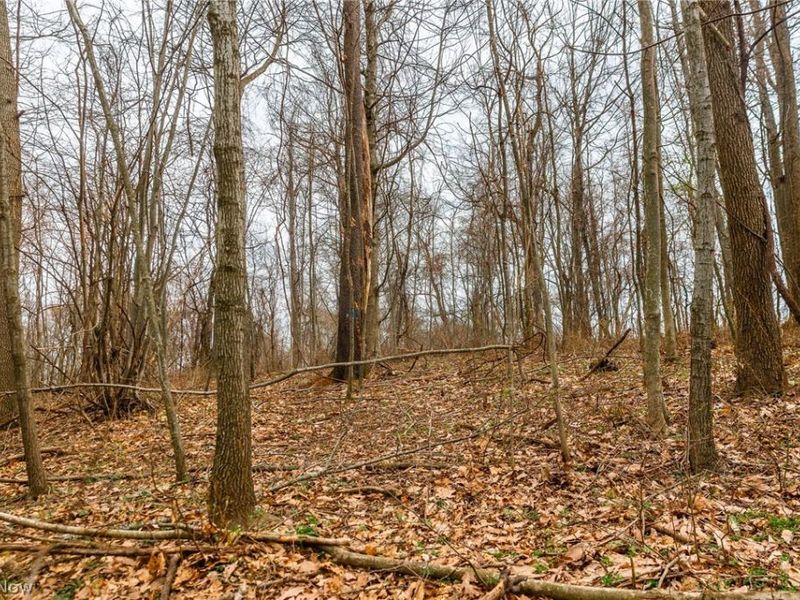 Pledge Road, Carrollton, OH 44615 Photo 8