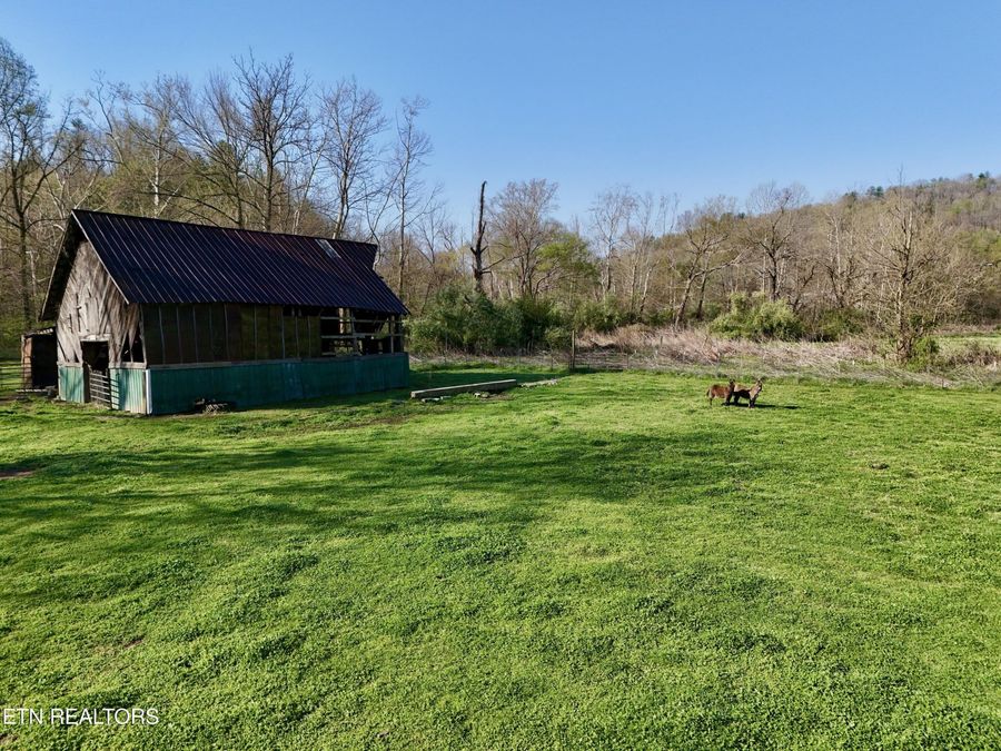 Property Image 16