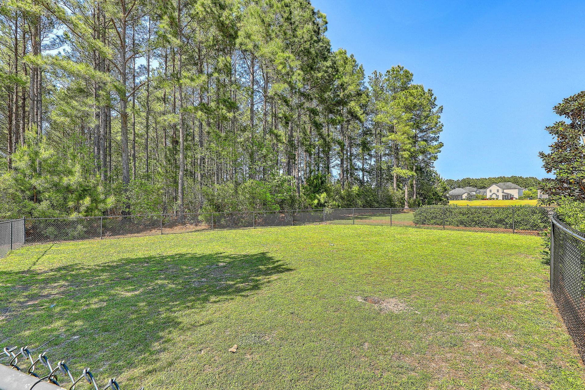 141 Lindera Preserve Boulevard Photo 38