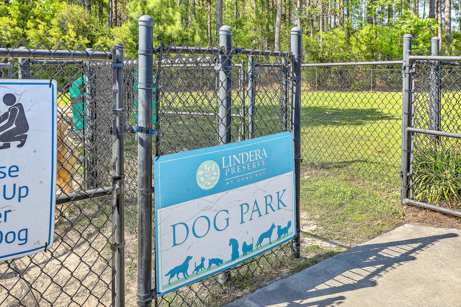 141 Lindera Preserve Boulevard Photo 39