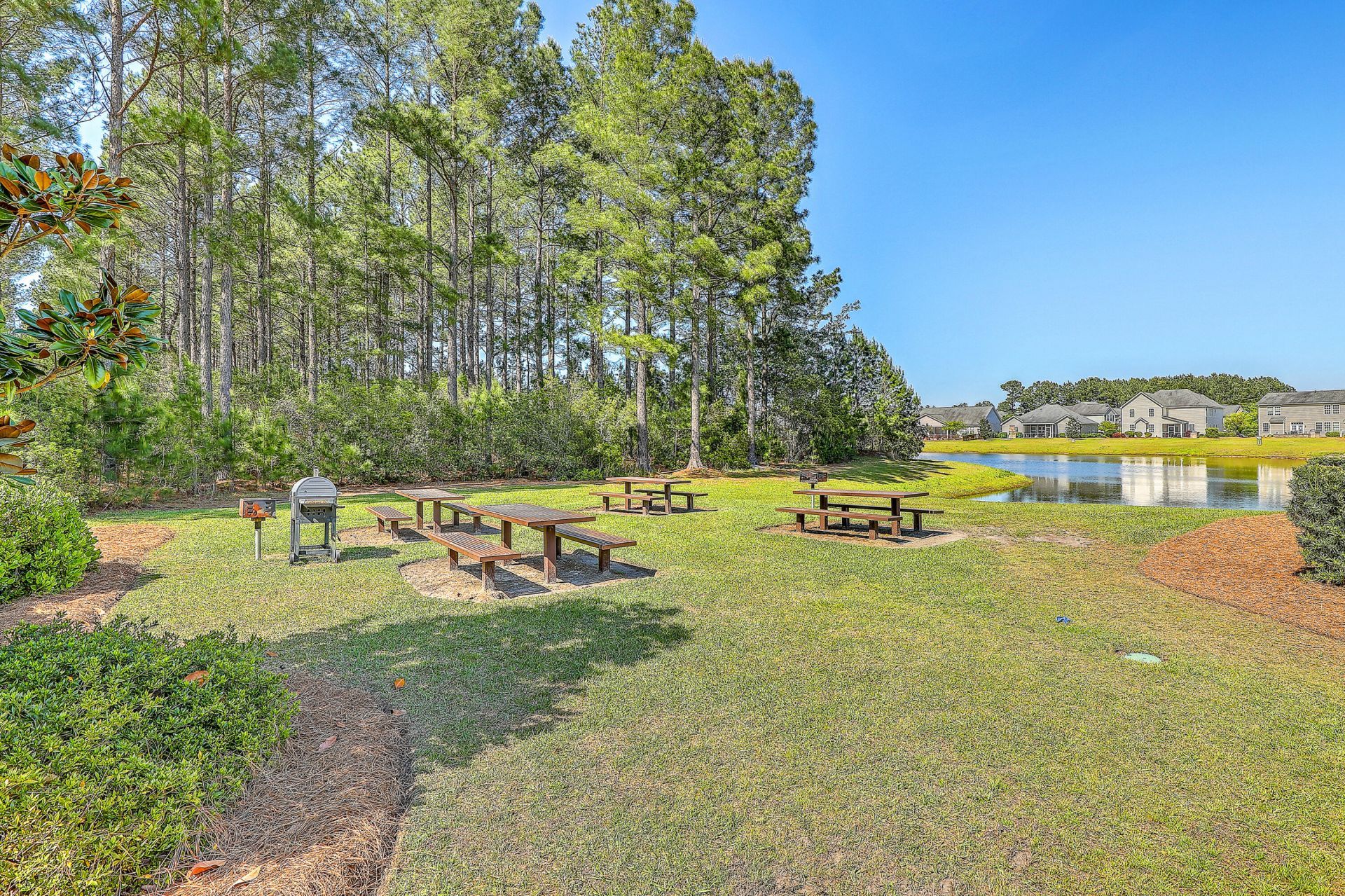 141 Lindera Preserve Boulevard Photo 40