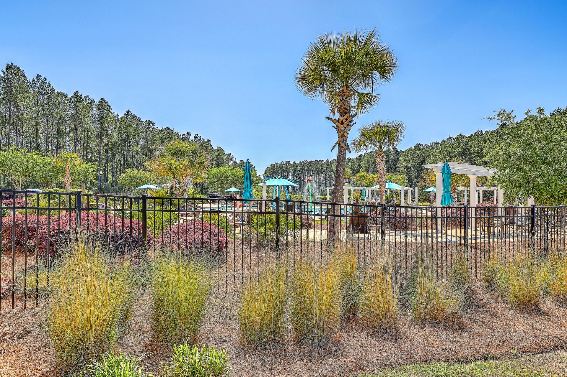 141 Lindera Preserve Boulevard Photo 43