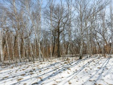 21781 Trestle Ridge Road, Albany, MN 56307