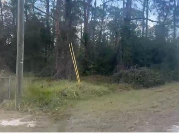 311 WILSON LANE NE, LAKE PLACID, FL 33852