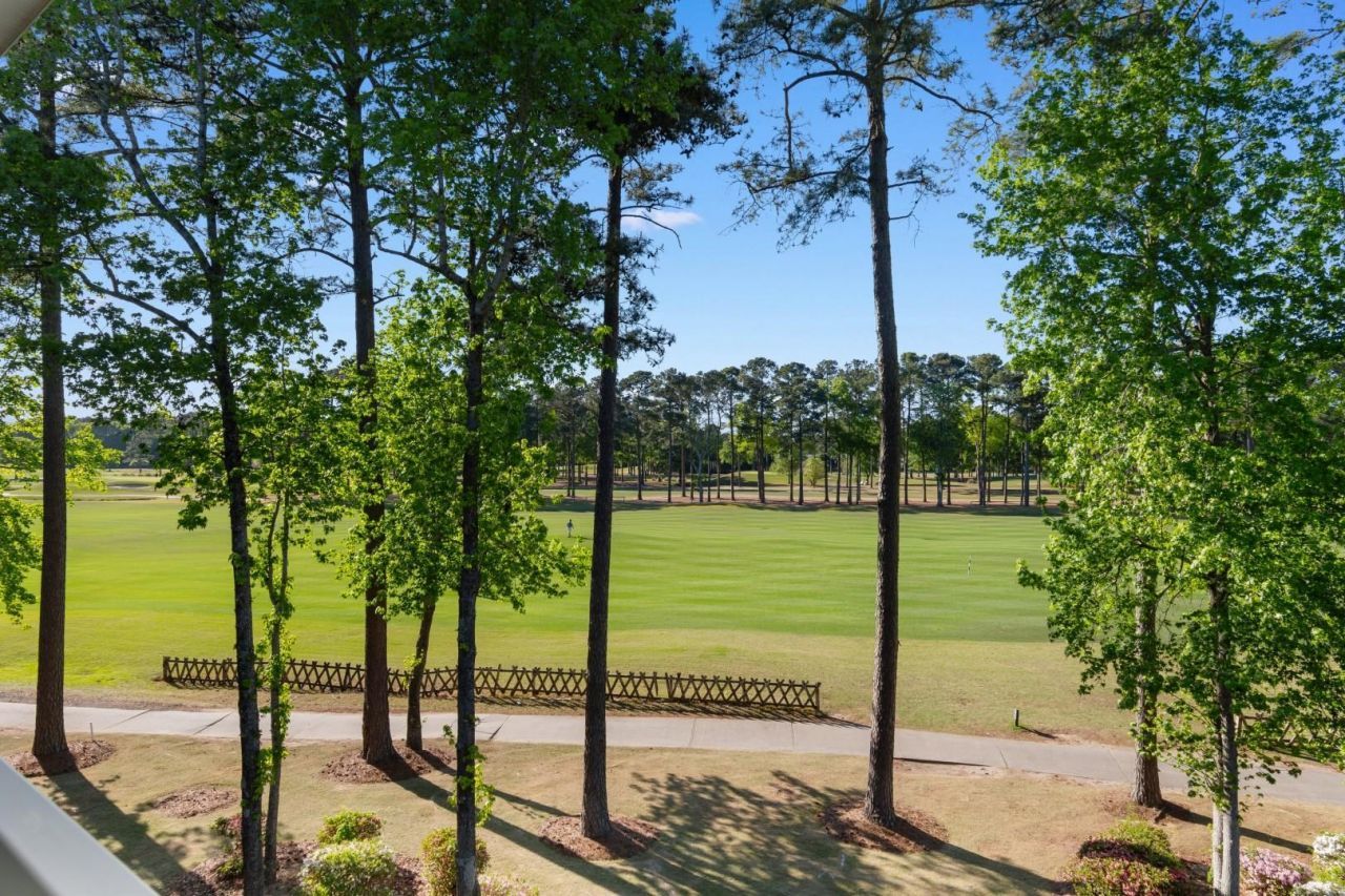 112 Cypress Point Ct. Photo 27