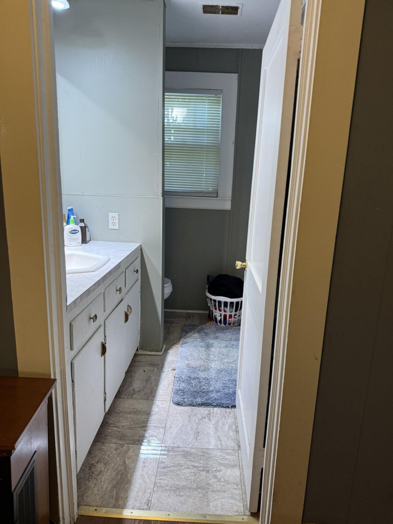 1522 E Lee Street Photo 36