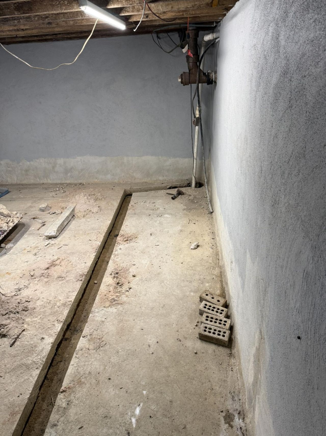 1522 E Lee Street Photo 51