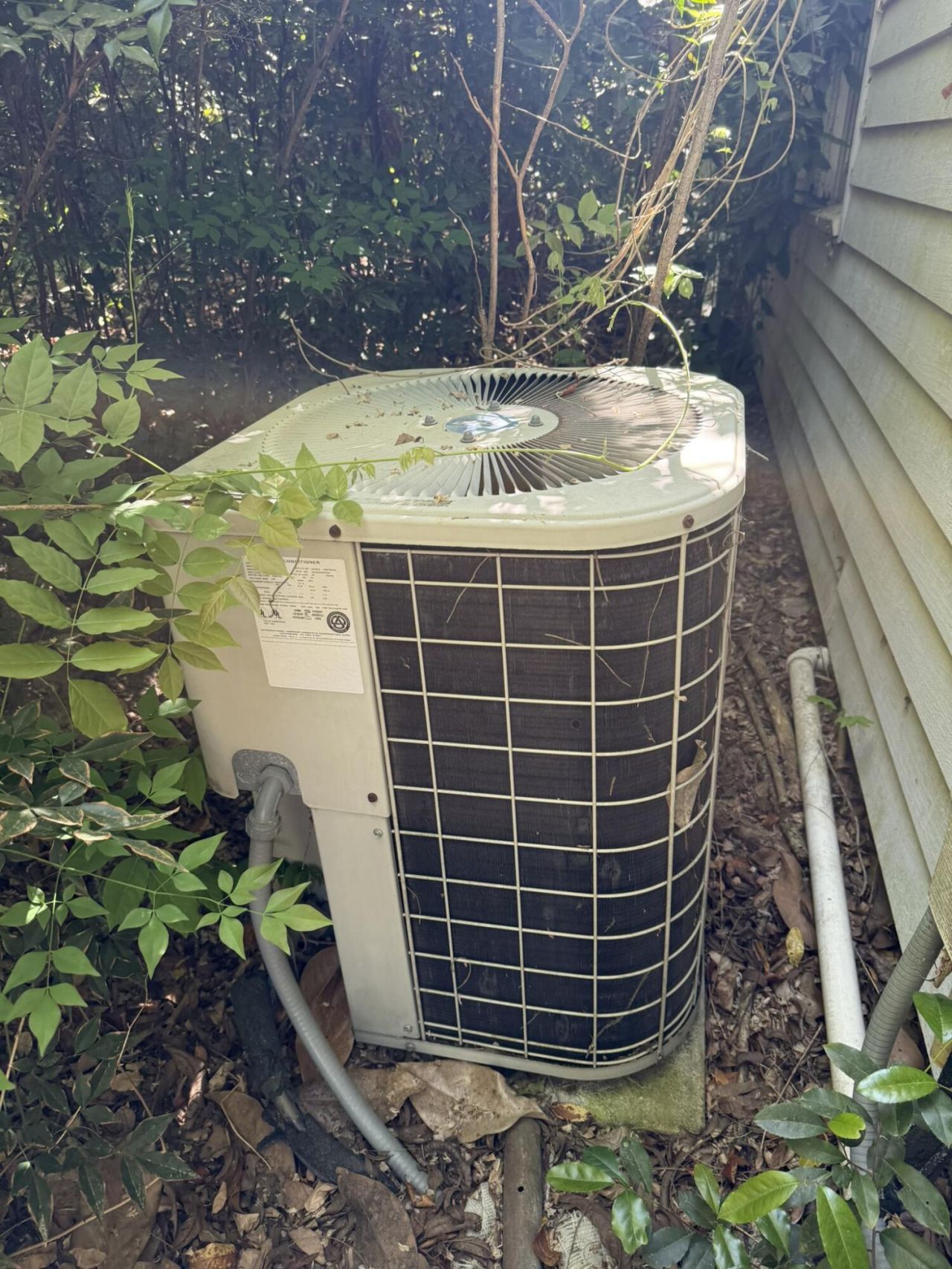 1522 E Lee Street Photo 53