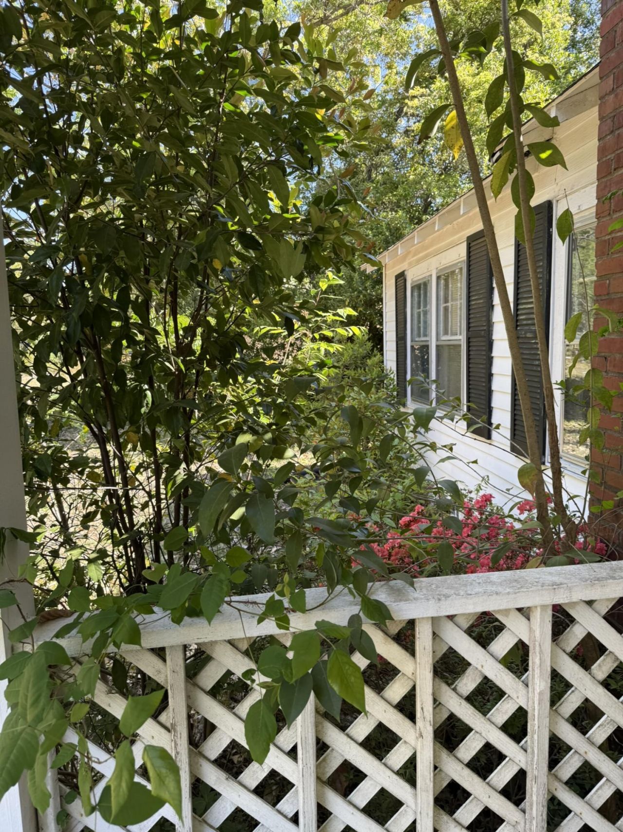 1522 E Lee Street Photo 56