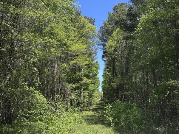 0 Roquemore Road, Unit LOT 3, Athens, GA 30607