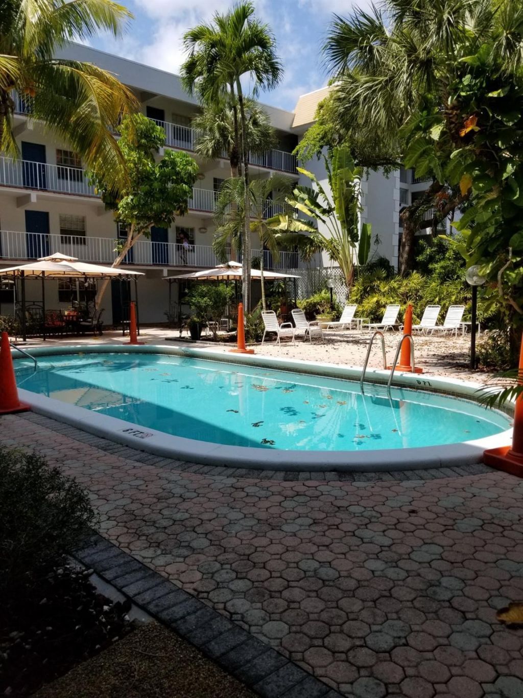 1407 NE 56th Street, Unit 201, Fort Lauderdale, FL 33334 Photo