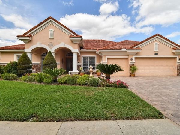 17923 ARBOR HAVEN DRIVE , TAMPA, FL 33647