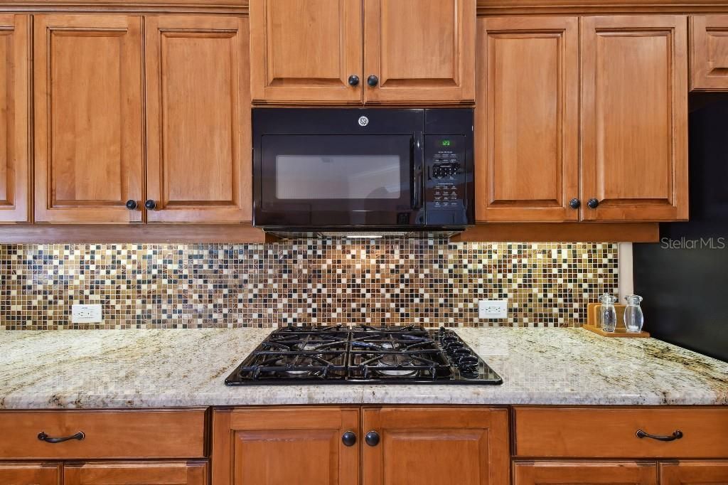 17923 Arbor Haven Drive , Tampa, FL 33647 Photo