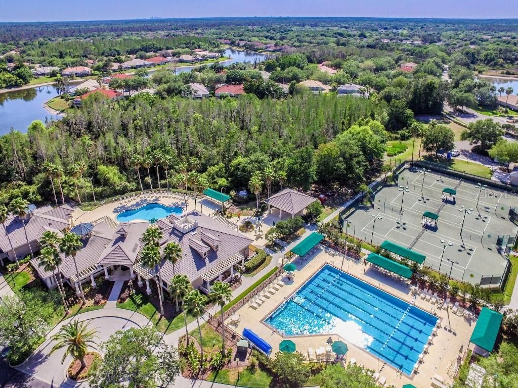 17923 Arbor Haven Drive , Tampa, FL 33647 Photo