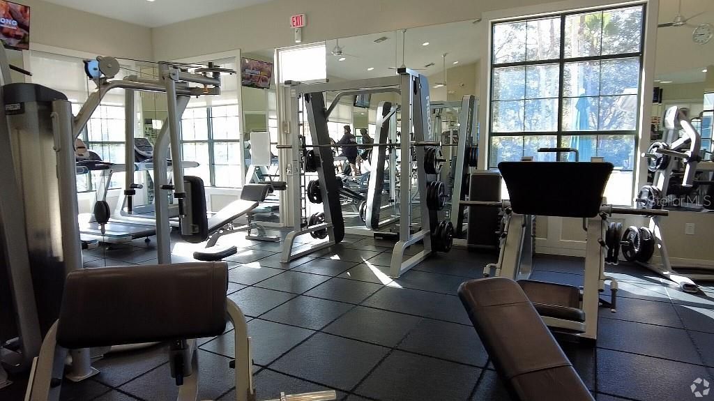 17923 Arbor Haven Drive , Tampa, FL 33647 Photo