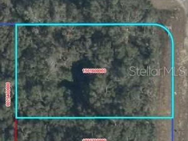 NW 100 AVENUE , WILLISTON, FL 32696