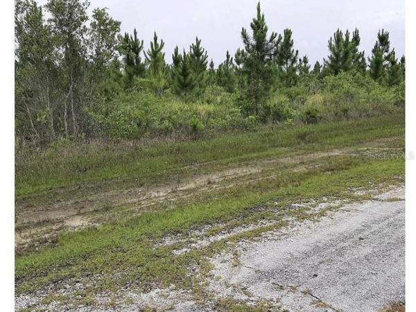 CALLIANDRA DRIVE, INDIAN LAKE ESTATES, FL 33855