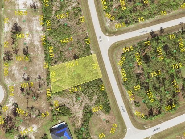 8 DOCK DRIVE , PLACIDA, FL 33946