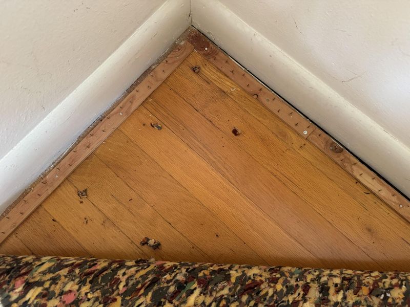 4841 Chippendale Drive, Springfield, OH 45503 Photo 26