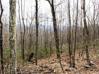 S HIGH VALLEY DR, Unit lot 41,lot, MONTEREY, VA 24465