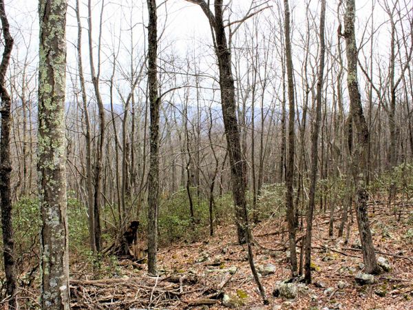 S HIGH VALLEY DR, Unit lot 41,lot, MONTEREY, VA 24465