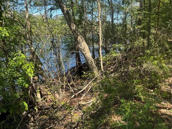 TBD SW 25 PLACE , BELL, FL 32619