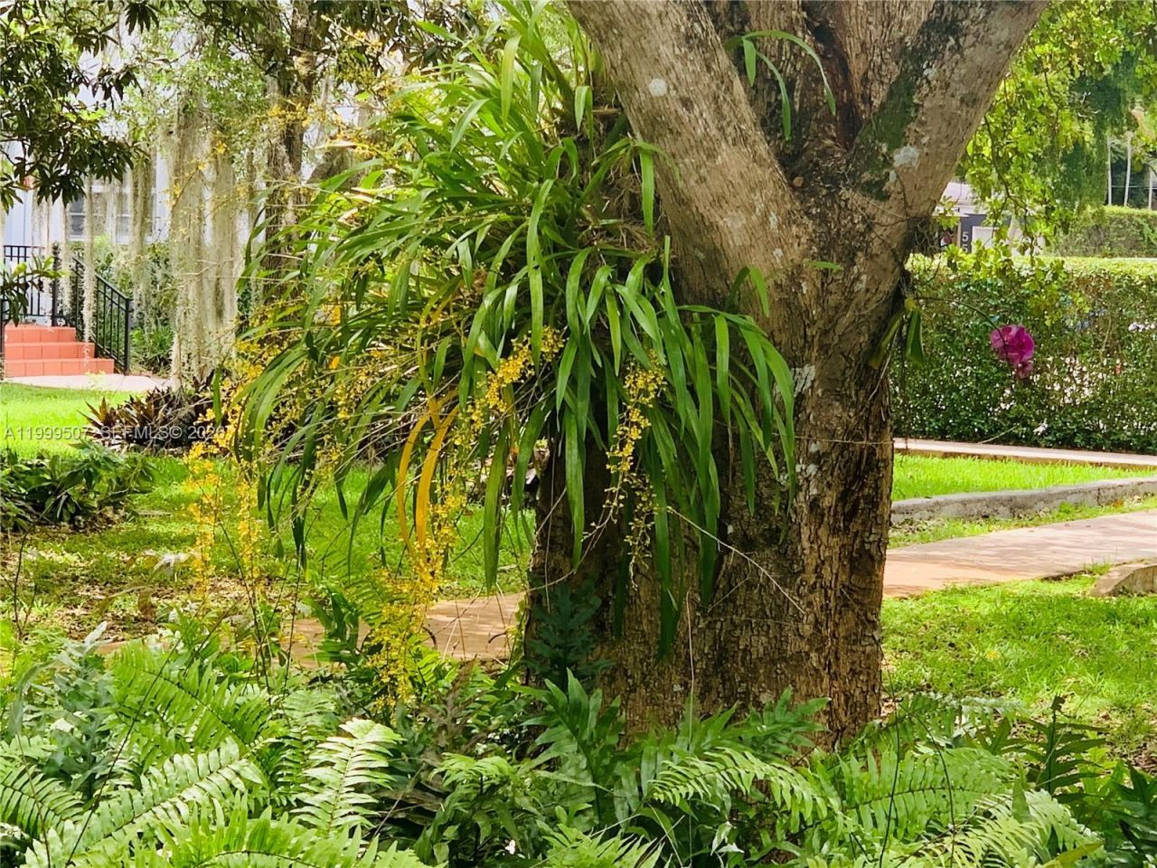 5605 SW 80th St, Unit 97-A, Miami, FL 33143 Photo