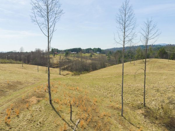 TBD Carsonville RD, Independence, VA 24348