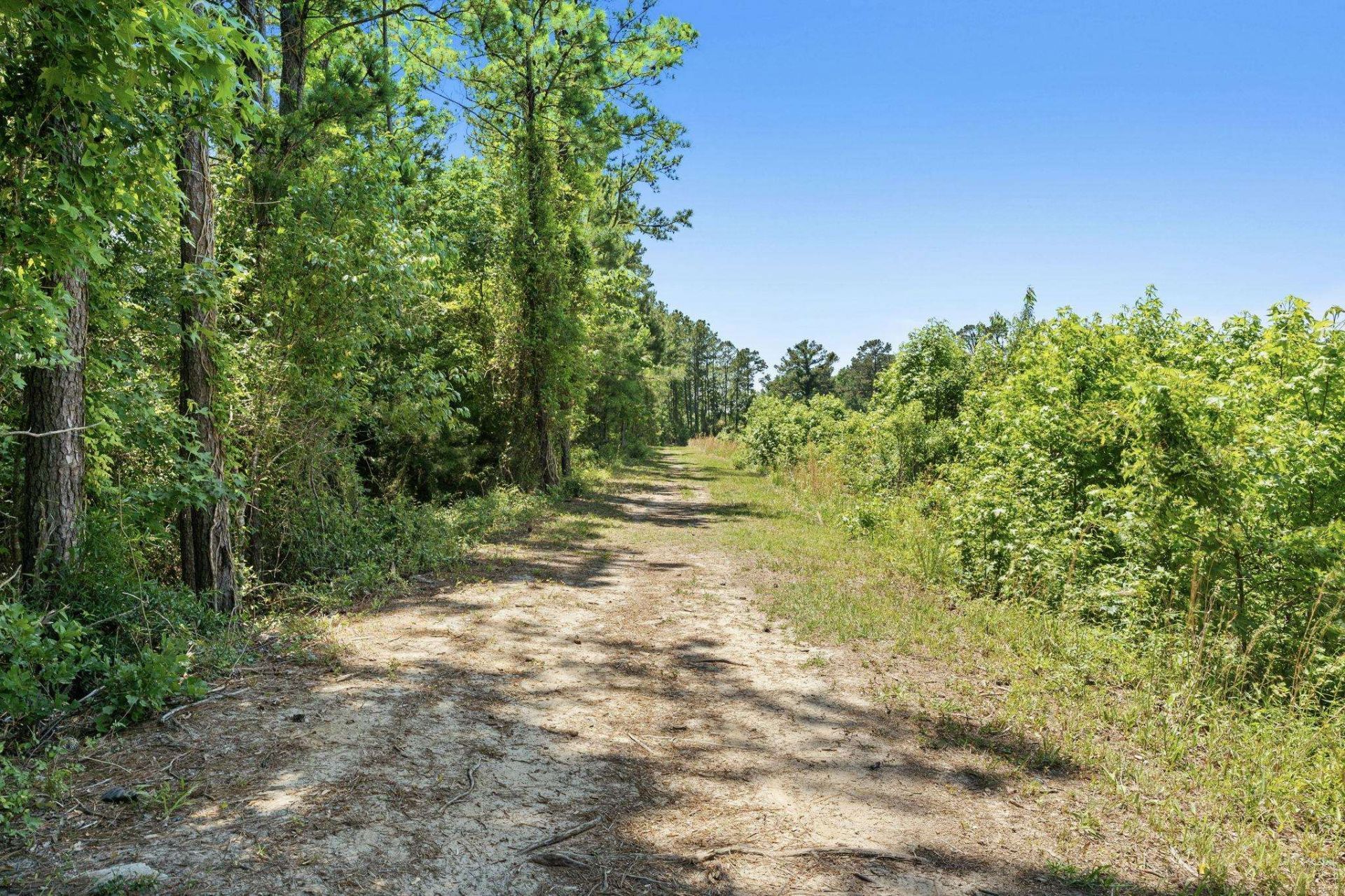 350 Harbour View Dr. Photo 43