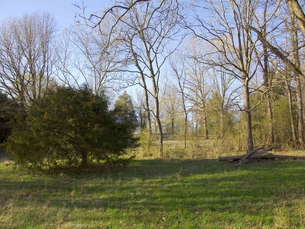 11925 OLD JACKSON RD, Somerville, TN 38068