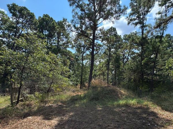 0 Hula Lane LN, Bastrop, TX 78602