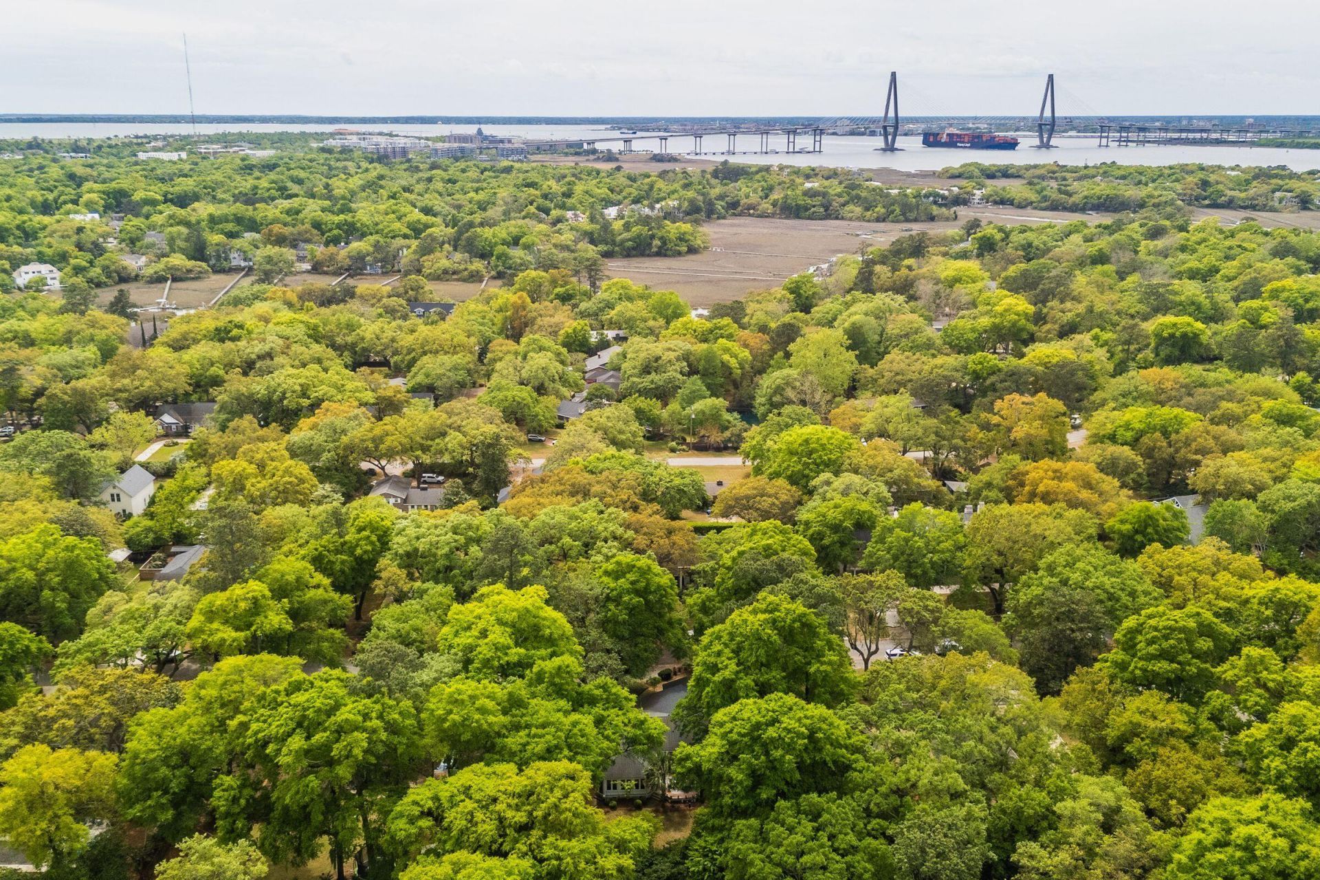 288 Molasses Lane Photo 104