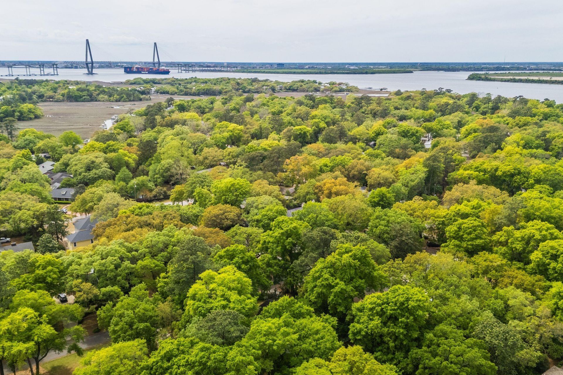 288 Molasses Lane Photo 106